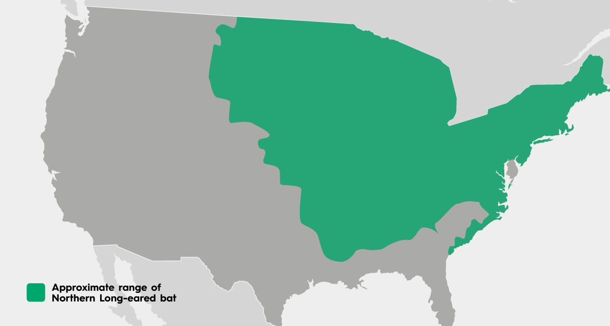 Northern Long-eared bat range map - approximate