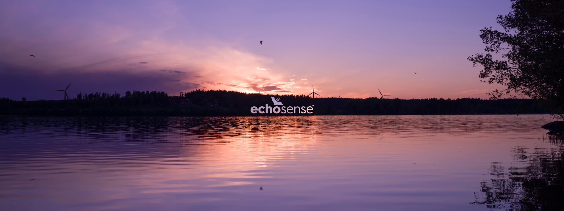 EchoSense sunset