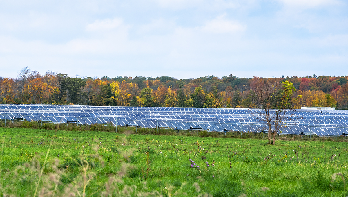 Igneo - Soltage solar and storage 