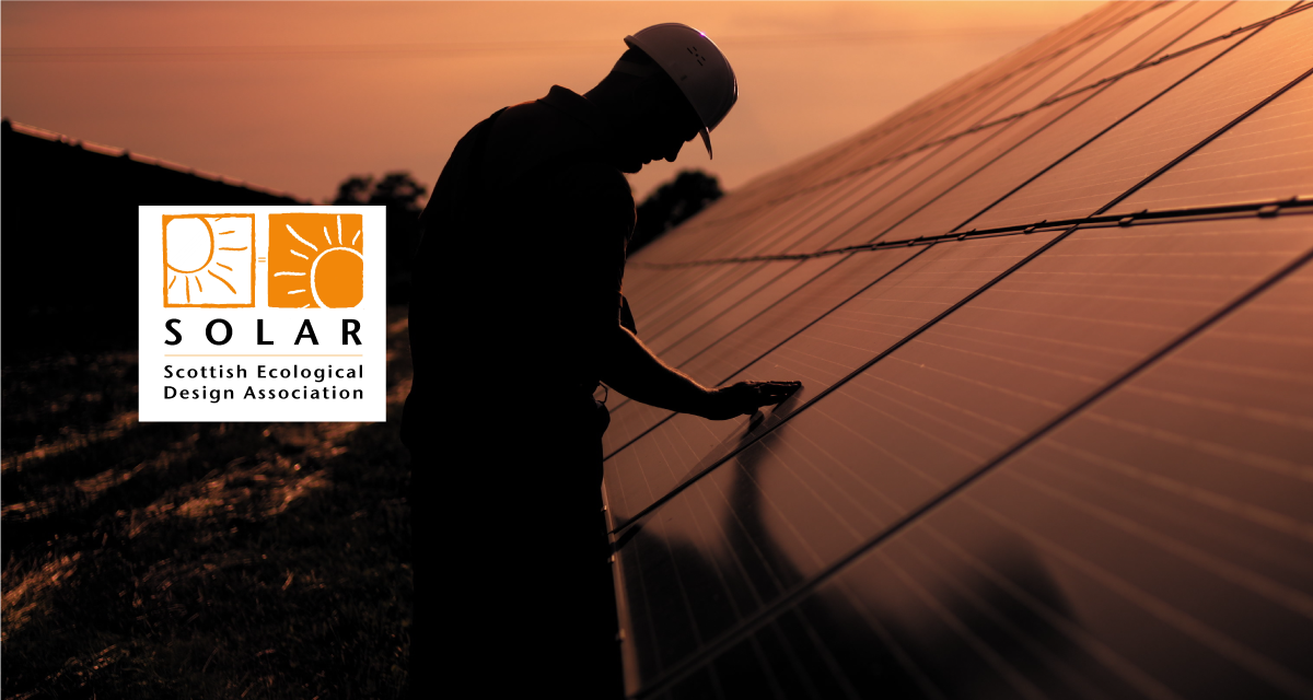 Man inspecting solar panels